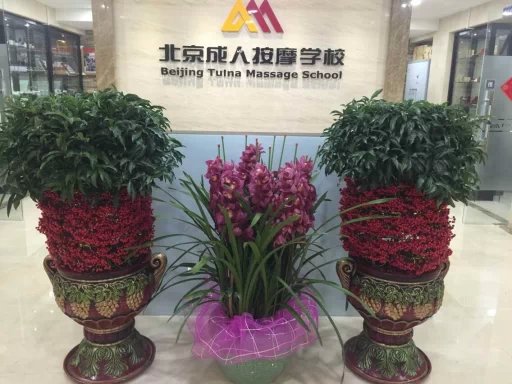 推拿培訓學校